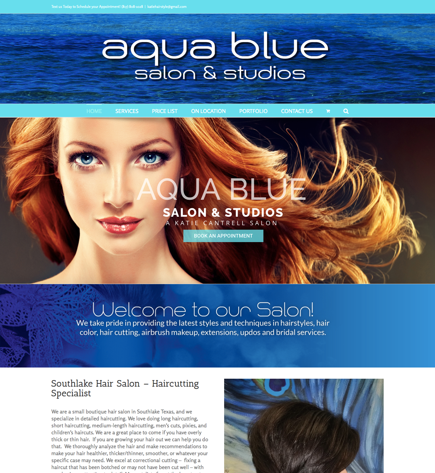 Aqua blue custom website design
